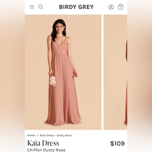 Birdy Grey Dresses & Skirts - Birdy Grey Kaia Chiffon Dusty Rose Dress